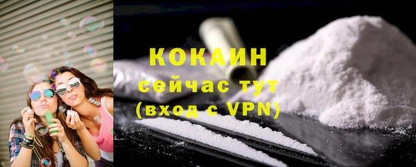 прущие грибы Навашино