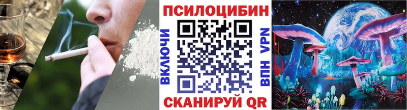ссылка на мегу ССЫЛКА  где купить наркотик  Павловская  Галлюциногенные грибы GOLDEN TEACHER 